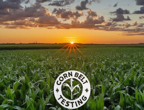 Embrace the Summer with Corn Belt Testing: Ensuring Optimal Grain Moisture Measurement