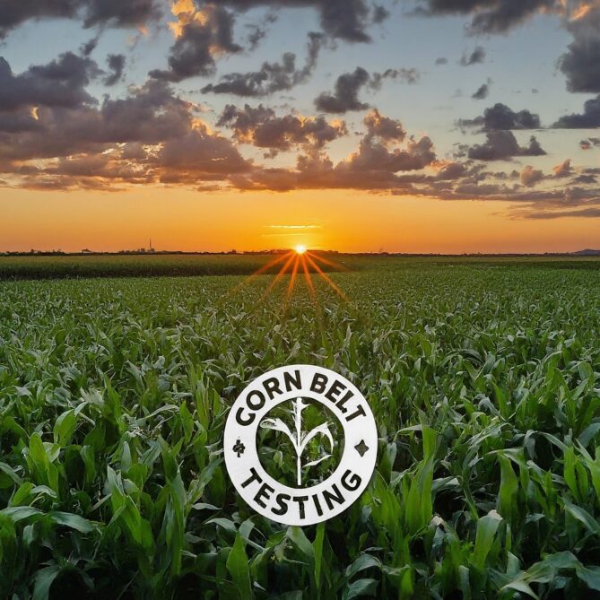 A vast cornfield bathed in the warm glow of the setting sun. The Corn Belt Testing logo is prominently displayed in the foreground, signifying their commitment to quality grain testing services